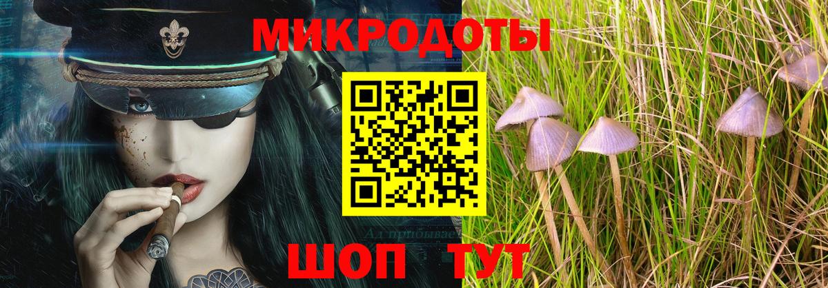 Бор  Псилоцибиновые грибы ЛСД  Вход с VPN  Галлюциногенные грибы Psilocybe 