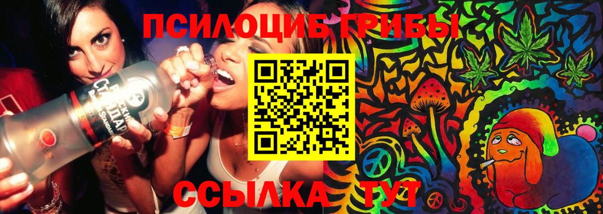 Галлюциногенные грибы GOLDEN TEACHER Бор